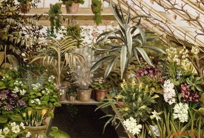 El invernadero de W.C. Jarvis